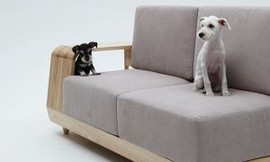 m.pup狗屋沙發 與寵物共同分享居家生活的小幸福_視覺圖