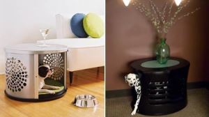 和寵物寶貝長相廝守的多功能家具_視覺圖