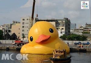 黃色小鴨成長史 歪頭萌照全都露_視覺圖