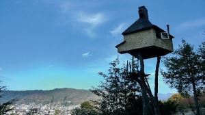 【國際設計大觀】日本建築師 藤森照信 以現代工法蓋自然建築 (上)_視覺圖