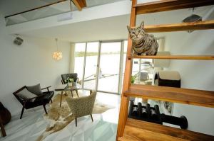 14坪簡約現代船屋，擁有完美生活機能_視覺圖