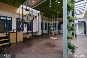 把綠意帶進辦公室 上班還可以盪鞦韆！_視覺圖