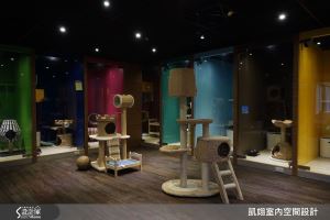 主人不在家！ 喵星人party就在寵物旅館歡樂登場_視覺圖