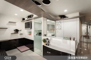 簡約溫馨寵物診所 醫生和貓孩子的25 坪飛翔樂園_視覺圖