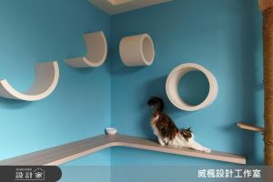 主人不在家、毛友來開趴！喵星人的指定款北歐風居家_視覺圖