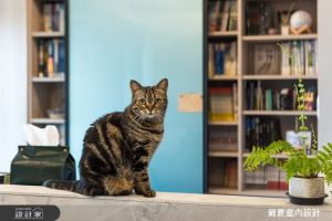 小空間的大機能！ 100 萬以下打造 23 坪寵物宅_視覺圖