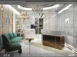 中古屋改建星級診所！如同殿堂般的尊榮奢華風_視覺圖