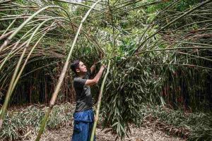 以竹藝為台灣發聲  范承宗新解老文化_視覺圖