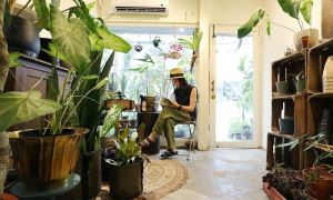 【夏日植型力II】懶惰植人篇！懶人植物不再只有多肉選擇，七款超好養葉片型植物，躺著就能美化居家_視覺圖