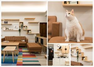 黃阿瑪的後宮生活2度搬家，沿用舊家具、訂製貓櫃、租屋也有親貓又寵奴才的貓豪宅！_視覺圖