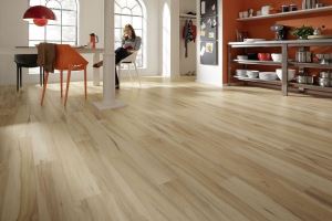 【TV】百年工藝 德國木地板營造溫暖家庭氛圍_視覺圖