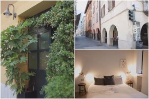 【TV】超紓壓！！被綠色植栽包圍的療癒小屋_視覺圖