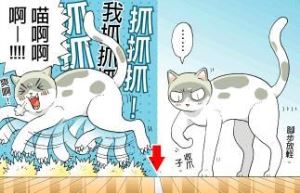 超耐磨木地板怎麼挑?_視覺圖