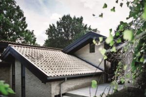 在哥本哈根也能飛簷走壁！加入東方寺廟想像的北歐house_視覺圖