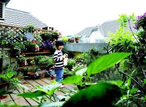 【不只是兒童房】花園就是小布和小祐的遊樂場 生活達人S a n d r a 的家(上)_視覺圖