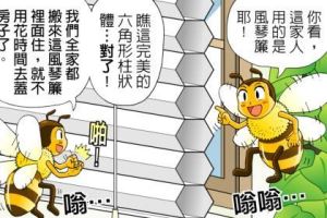 風琴簾有效阻隔室外熱氣又具遮光效果_視覺圖