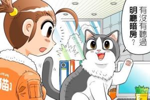 【黑貓設計師事務所】第 7 回—明廳暗房_視覺圖