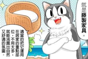 【黑貓設計師事務所】第 16 回—藤製家具_視覺圖