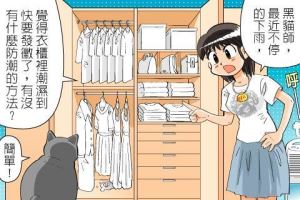 【黑貓設計師事務所】第 17 回—防潮秘技_視覺圖