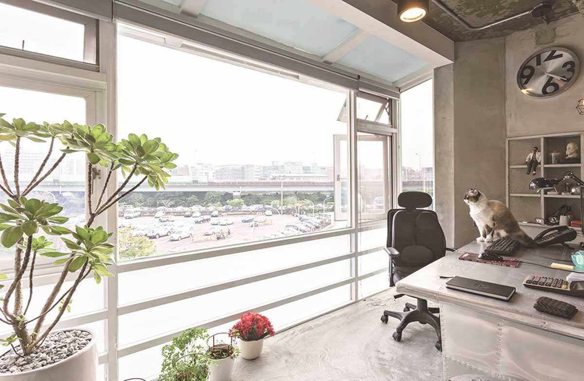 讓貓自在生活的Loft宅