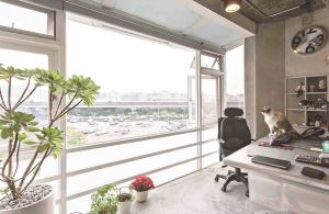讓貓自在生活的Loft宅_視覺圖