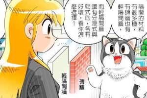 【黑貓設計師事務所】第 24 回—隔間材料_視覺圖