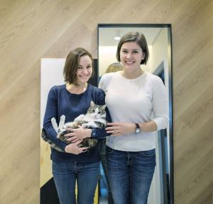 賦予自然意象和活潑跳色，貓咪設計不突兀_視覺圖