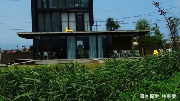 【TV】到宜蘭小旅行 和蘆葦在田中隨風搖曳_視覺圖