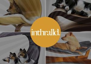 11 個前衛設計的現代寵物睡床_視覺圖