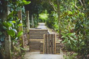 野餐露營正夯 IKEA宜家家居全新NIPPRIG系列 打造不一樣的戶外體驗_視覺圖