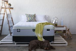 【TV】層層把關的手工好床 守護整晚美夢_視覺圖