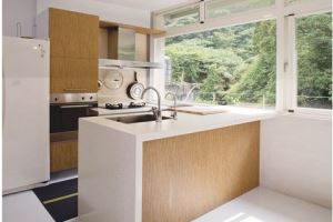 【好廚房你可以這樣設計】雙排型這樣做_視覺圖