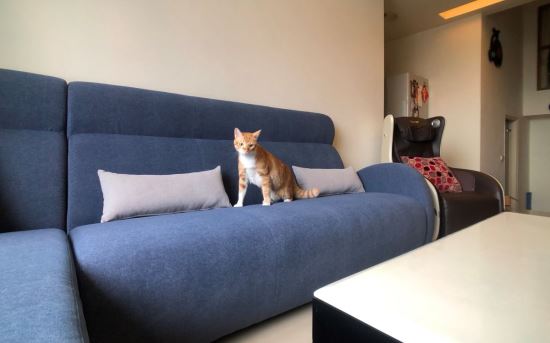 椅子工廠Cube-Net優普耐特-阿布吉沙發  其之1-阿布吉沙發  其之1,椅子工廠Cube-Net優普耐特,組合沙發