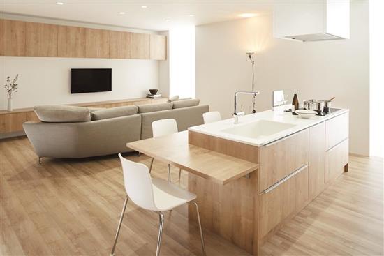 LIXIL-SUNWAVE廚具RICHELLE  PLAT 系列 (一)-SUNWAVE廚具RICHELLE  PLAT 系列,LIXIL/INAX,廚具