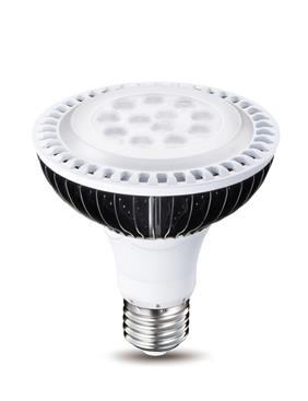 威剛照明-ADATA威剛_燈泡PAR30-ADATA威剛_燈泡PAR30,威剛科技股份有限公司,燈泡