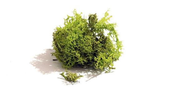 泛亞材料 PA Material -阿爾卑斯山的氣味_青色苔蘚-阿爾卑斯山的氣味_青色苔蘚,泛亞材料 PA Material ,美耐板