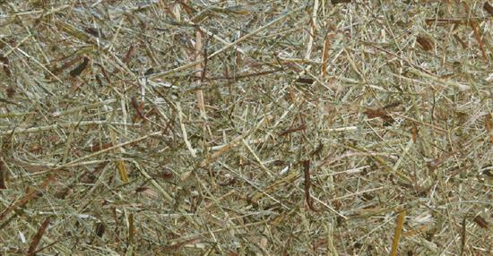 泛亞材料 PA Material -阿爾卑斯山的氣味_高山乾草和香草-阿爾卑斯山的氣味_高山乾草和香草,泛亞材料 PA Material ,美耐板