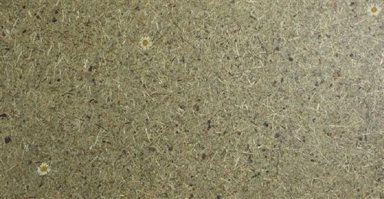 泛亞材料 PA Material -阿爾卑斯山的氣味_高山乾草和瑪格利特-阿爾卑斯山的氣味_高山乾草和瑪格利特,泛亞材料 PA Material ,美耐板