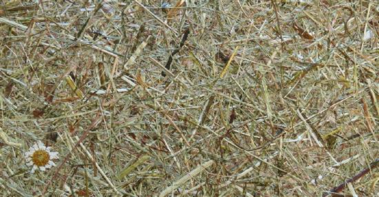 泛亞材料 PA Material -阿爾卑斯山的氣味_高山乾草和瑪格利特-阿爾卑斯山的氣味_高山乾草和瑪格利特,泛亞材料 PA Material ,美耐板