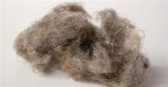 泛亞材料 PA Material -阿爾卑斯山的氣味_提洛爾山羊毛-阿爾卑斯山的氣味_提洛爾山羊毛,泛亞材料 PA Material ,美耐板