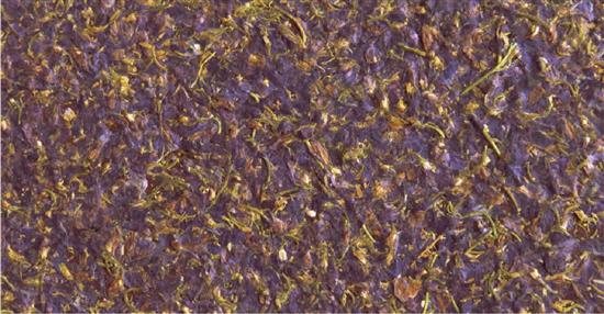 泛亞材料 PA Material -阿爾卑斯山的氣味_紫色飛燕草-阿爾卑斯山的氣味_紫色飛燕草,泛亞材料 PA Material ,美耐板