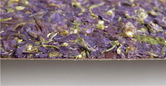 泛亞材料 PA Material -阿爾卑斯山的氣味_紫色飛燕草-阿爾卑斯山的氣味_紫色飛燕草,泛亞材料 PA Material ,美耐板