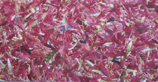 泛亞材料 PA Material -阿爾卑斯山的氣味_嫣紅矢車菊-阿爾卑斯山的氣味_嫣紅矢車菊,泛亞材料 PA Material ,美耐板