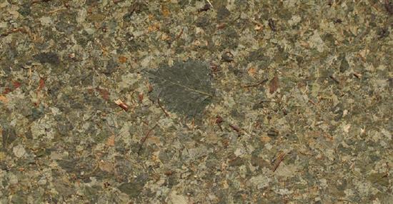 泛亞材料 PA Material -阿爾卑斯山的氣味_樺樹葉-阿爾卑斯山的氣味_樺樹葉,泛亞材料 PA Material ,美耐板