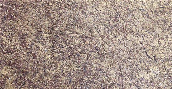 泛亞材料 PA Material -阿爾卑斯山的氣味_薄荷的莖-阿爾卑斯山的氣味_薄荷的莖,泛亞材料 PA Material ,美耐板