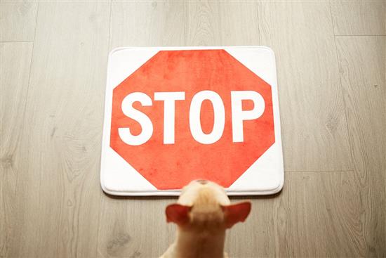 慎康企業-Stop Sign 趣味記憶綿浴墊-全面停止-Stop Sign 趣味記憶綿浴墊-全面停止,慎康企業,地墊